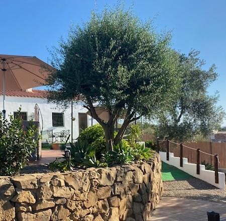 La Casa Palmera - Caminito Del Rey Pizarra Dış mekan fotoğraf