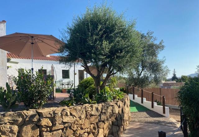 La Casa Palmera - Caminito Del Rey Pizarra Dış mekan fotoğraf